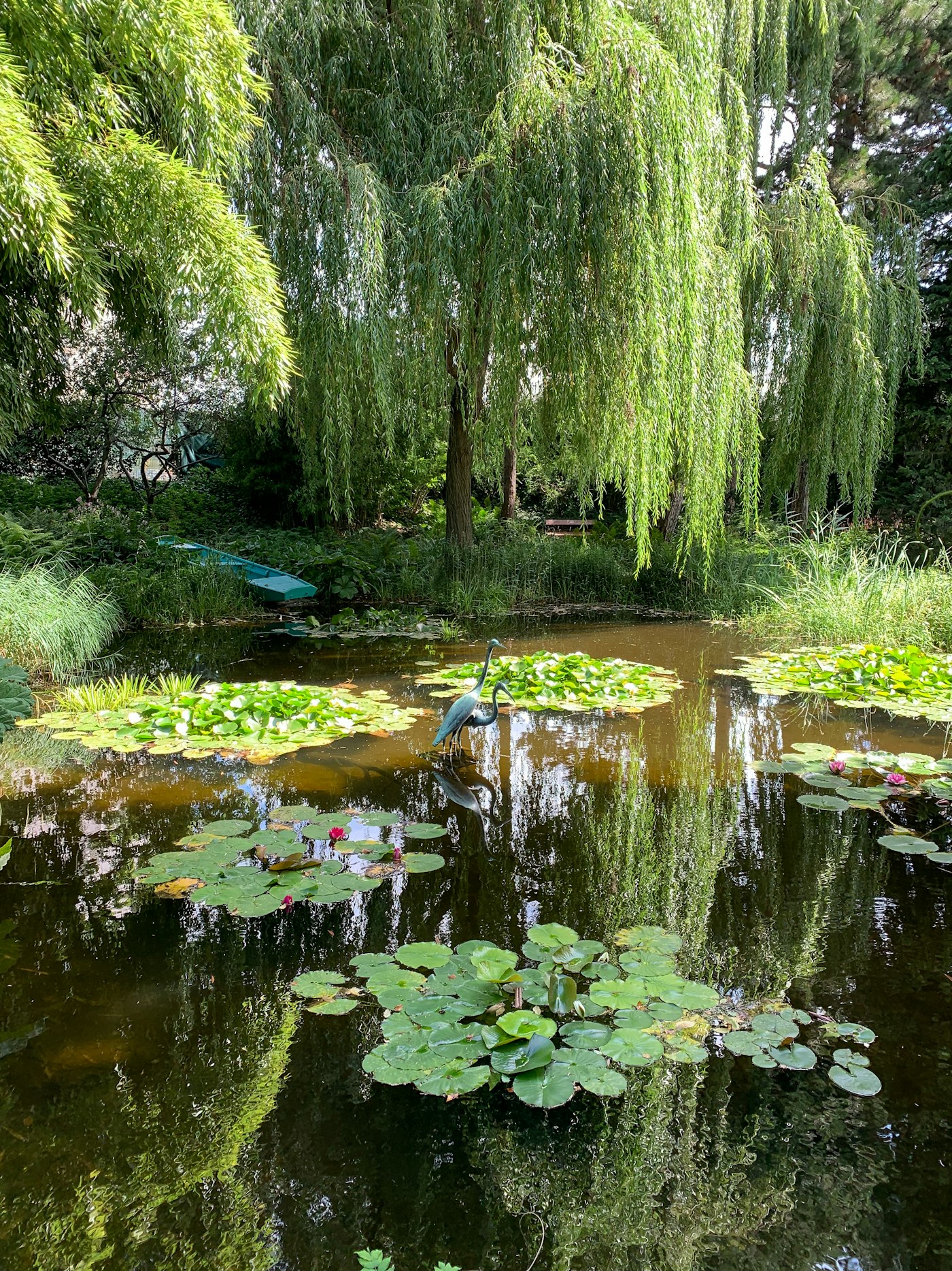 Jardin aquatique de Giverny, pont et nymphéas